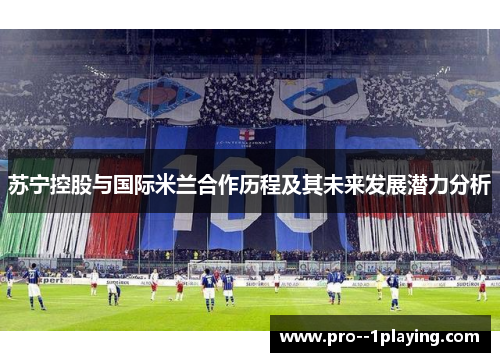 苏宁控股与国际米兰合作历程及其未来发展潜力分析 苏宁控股与国际米兰合作历程及其未来发展潜力分析